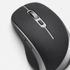 product_cat_mouse